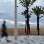 Paloma Dream Apartment