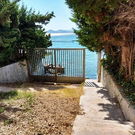 Paloma Dream Benidorm